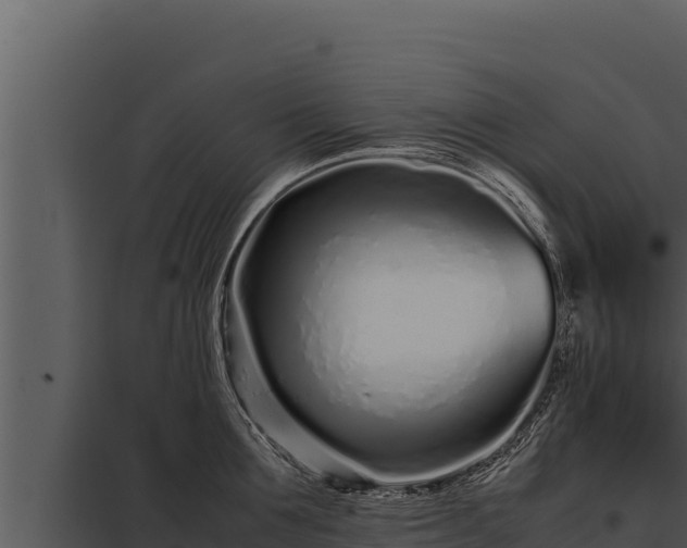 X0000097960907200804011655