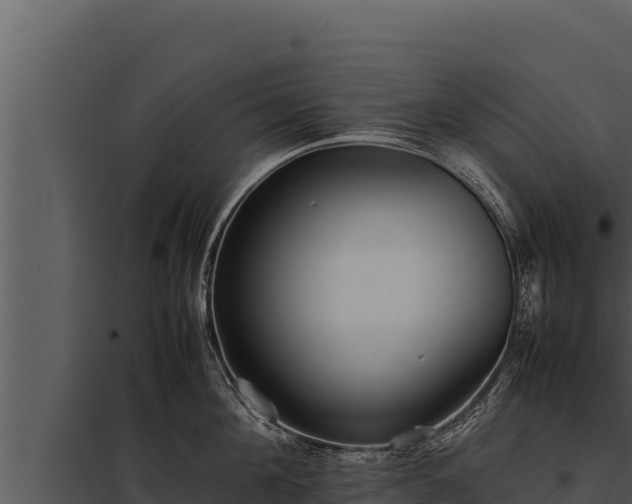 X0000097960908200804011655
