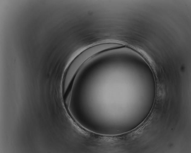 X0000097960910200804011655