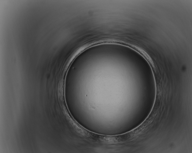 X0000097960911200804011655
