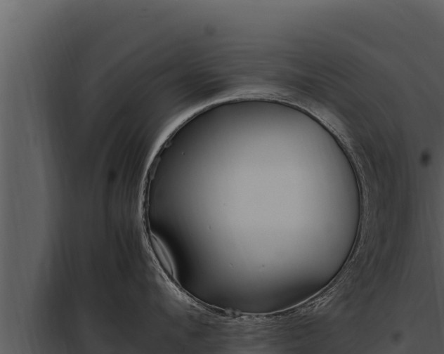X0000097960912200804011655