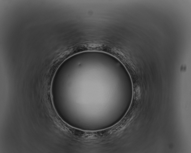 X0000097960913200804011654