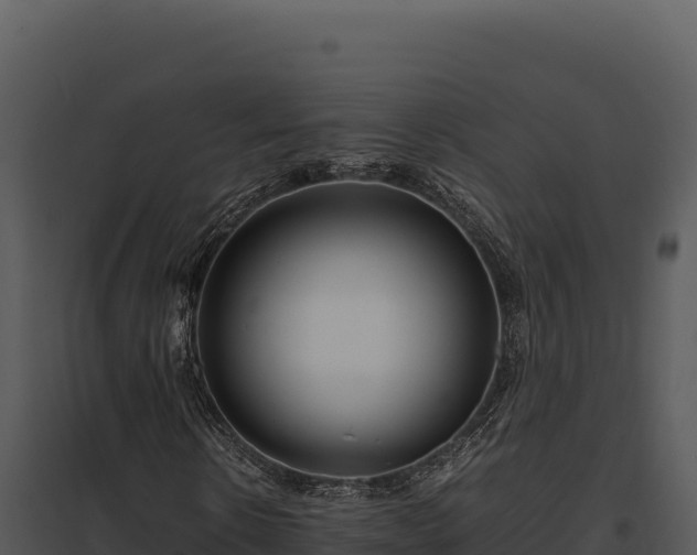 X0000097960914200804011654