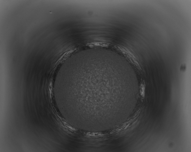 X0000097960915200804011654