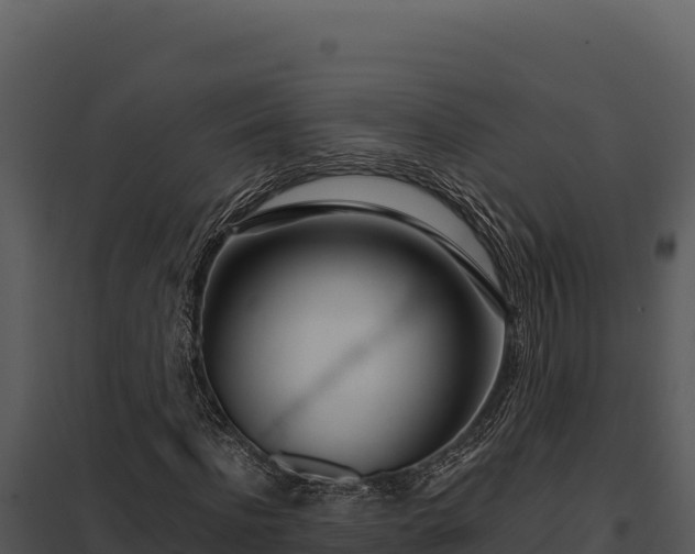 X0000097960916200804011654