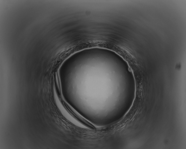 X0000097960917200804011654