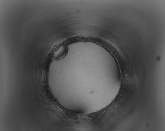 X0000097960918200804011654