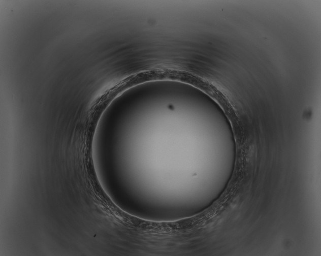 X0000097960919200804011654