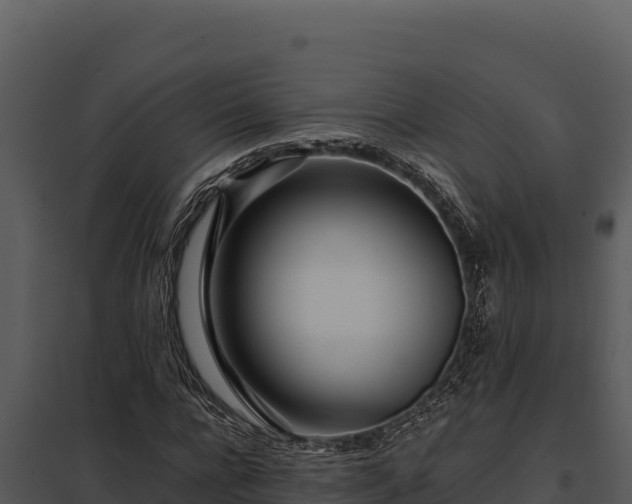X0000097960920200804011654