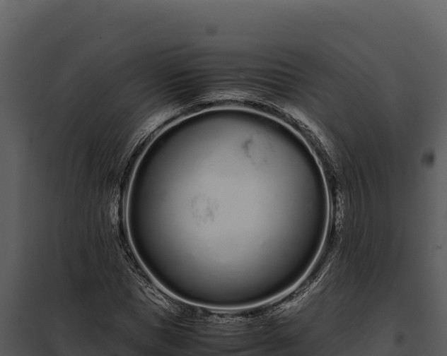 X0000097960921200804011654