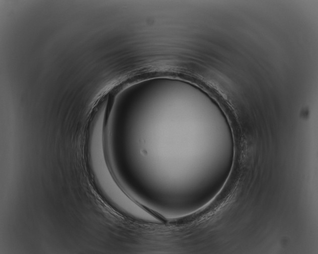X0000097960922200804011654