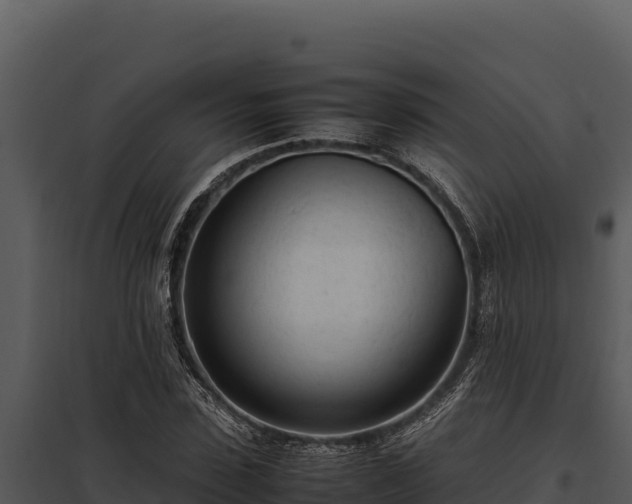 X0000097960923200804011654