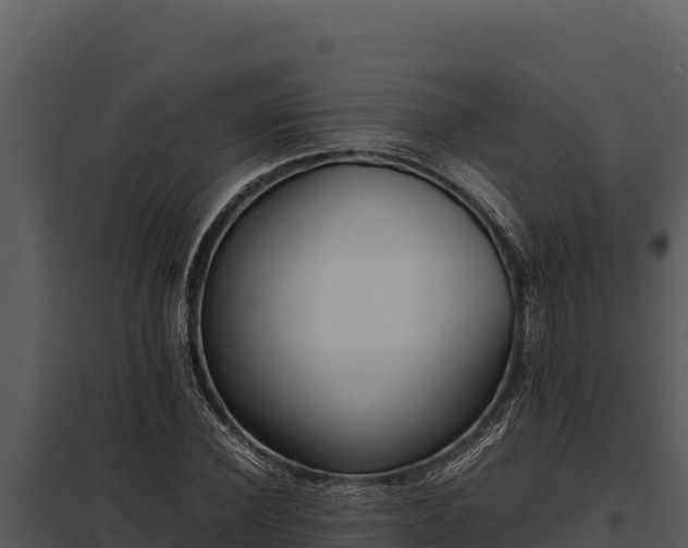 X0000097960924200804011654