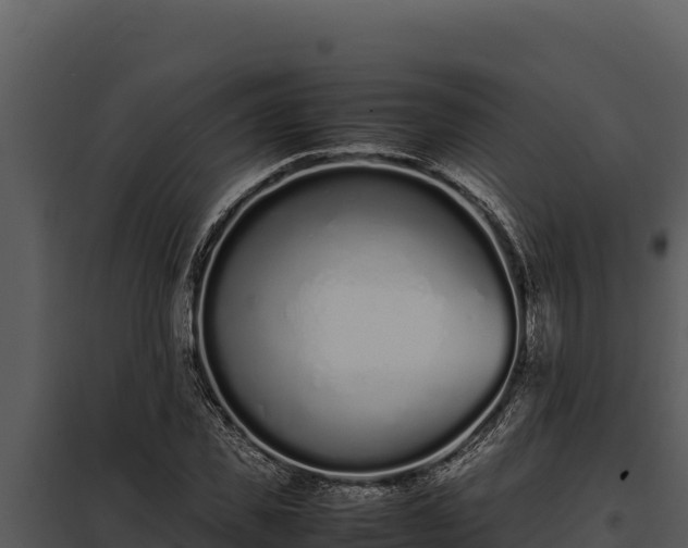 X0000097960925200804011654