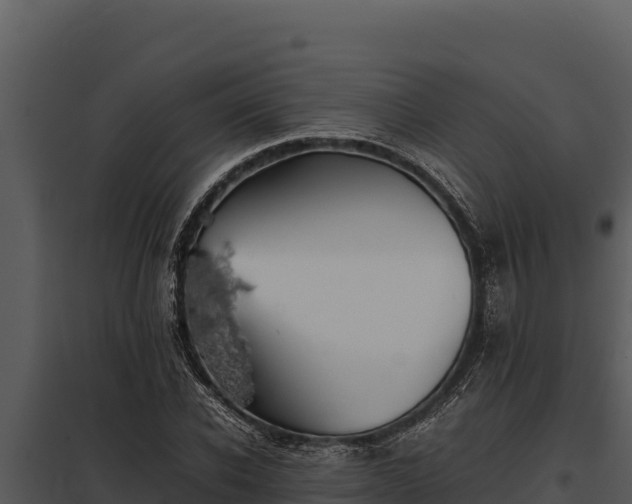 X0000097960926200804011654