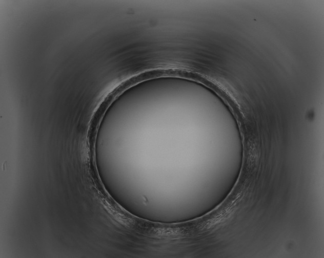X0000097960927200804011654