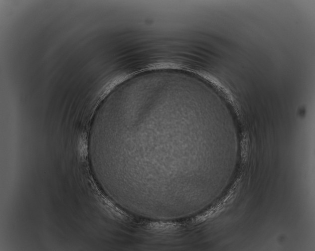 X0000097960929200804011654
