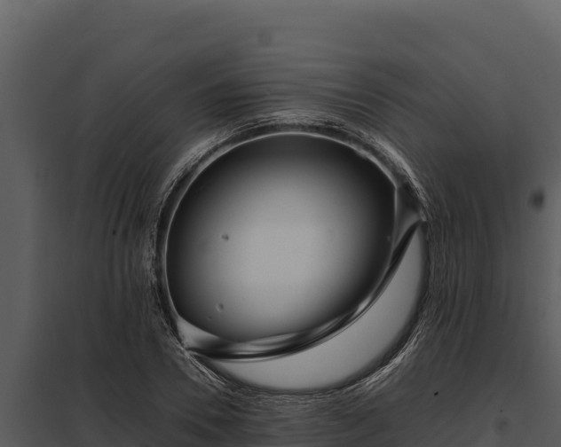 X0000097960930200804011654