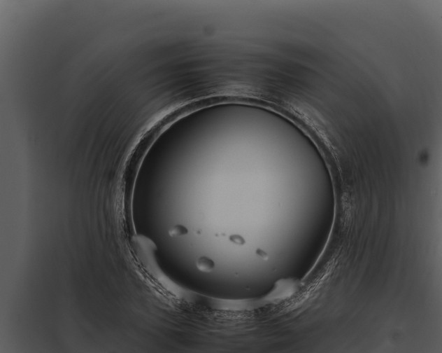 X0000097960931200804011654