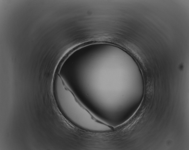 X0000097960932200804011654