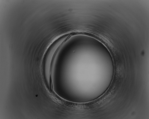 X0000097960934200804011654