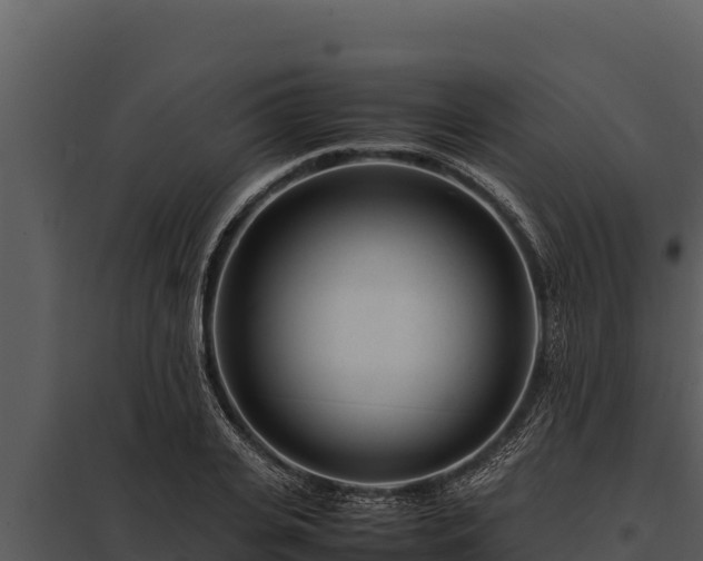 X0000097960935200804011654