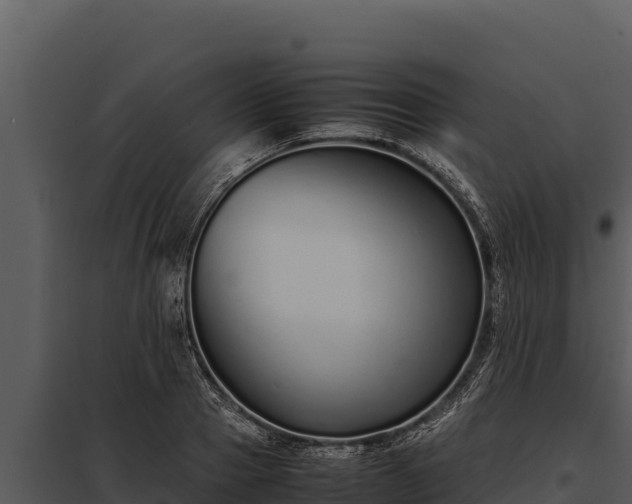 X0000097960937200804011655