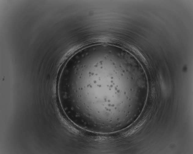X0000097960938200804011655