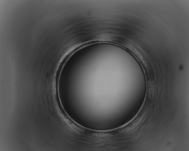 X0000097960939200804011655