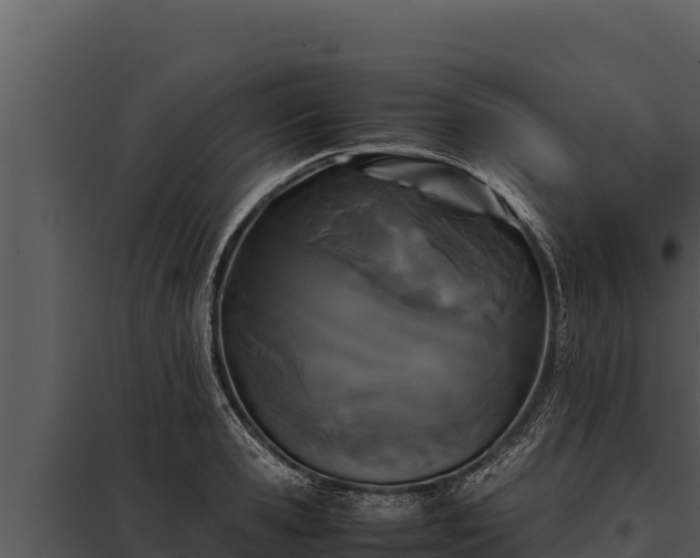 X0000097960941200804011655