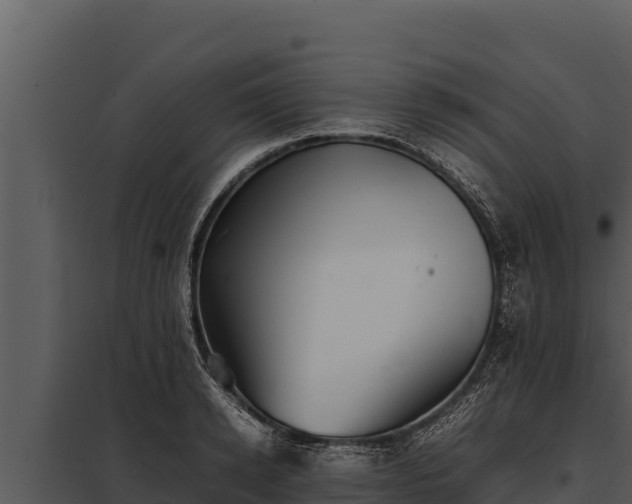 X0000097960942200804011655