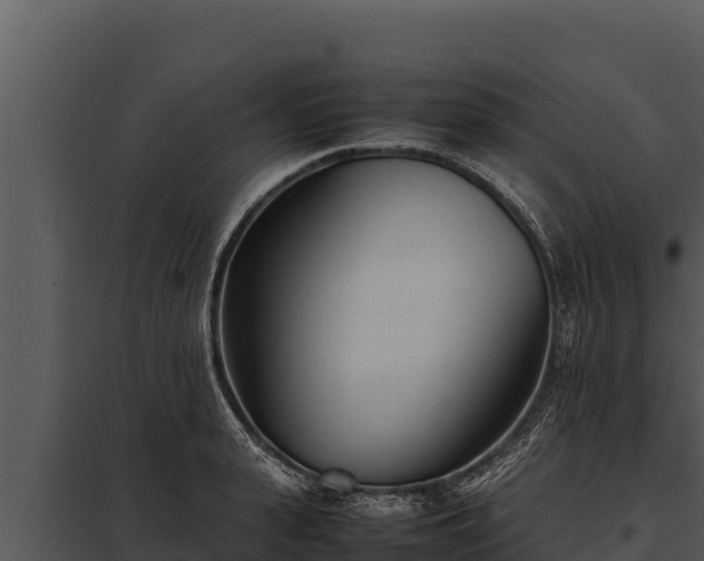 X0000097960943200804011655