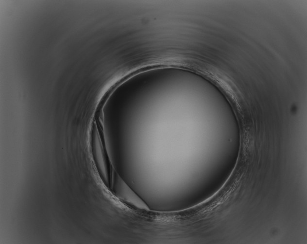 X0000097960944200804011655