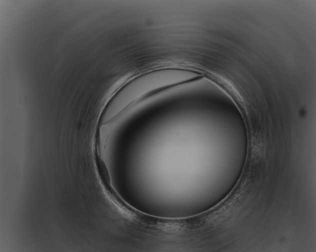 X0000097960946200804011655