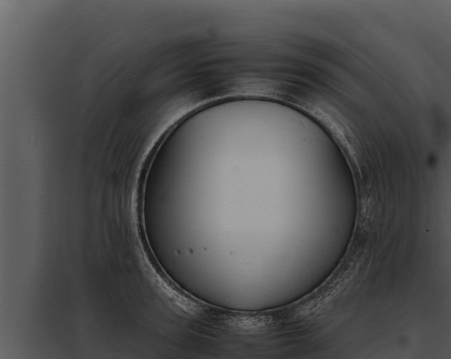 X0000097960947200804011655