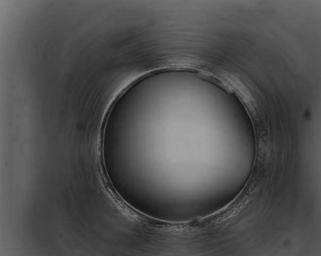 X0000097960948200804011655