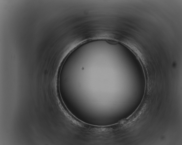 X0000097960949200804011655