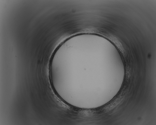 X0000097960950200804011655