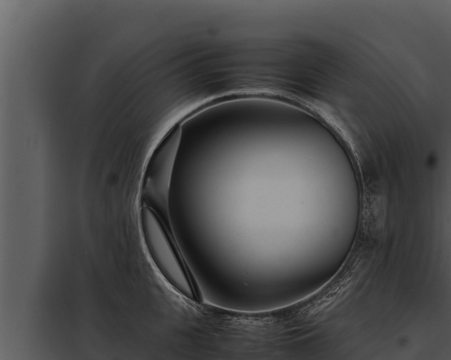 X0000097960951200804011655