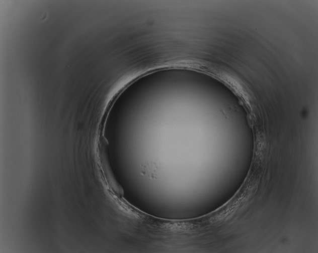 X0000097960952200804011655