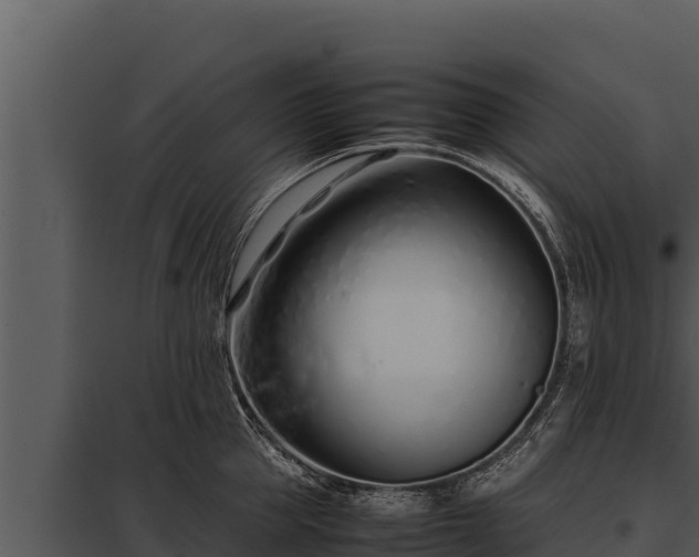 X0000097960953200804011655