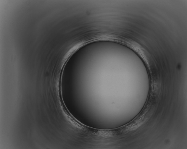 X0000097960954200804011655