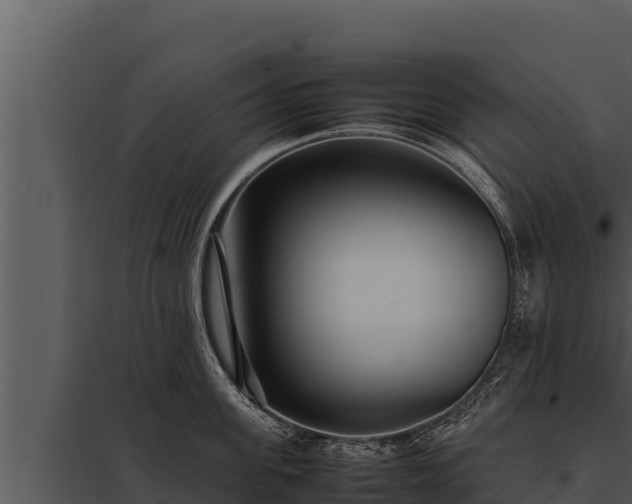 X0000097960955200804011655