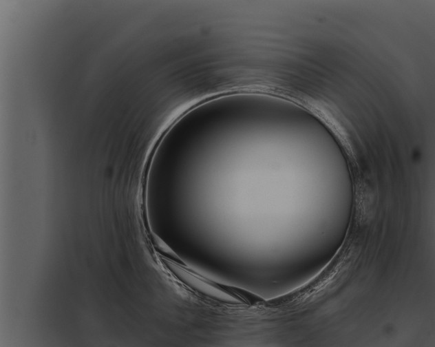 X0000097960956200804011655