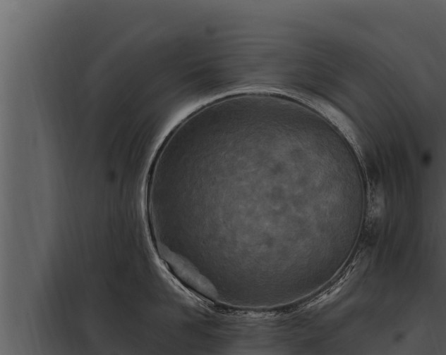 X0000097960958200804011655