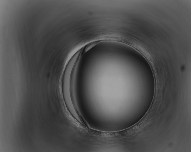 X0000097960960200804011655