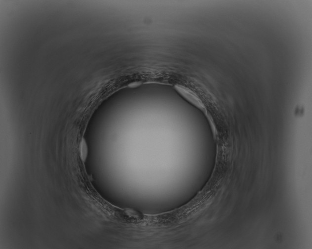 X0000097960961200804011654