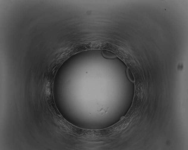 X0000097960962200804011654