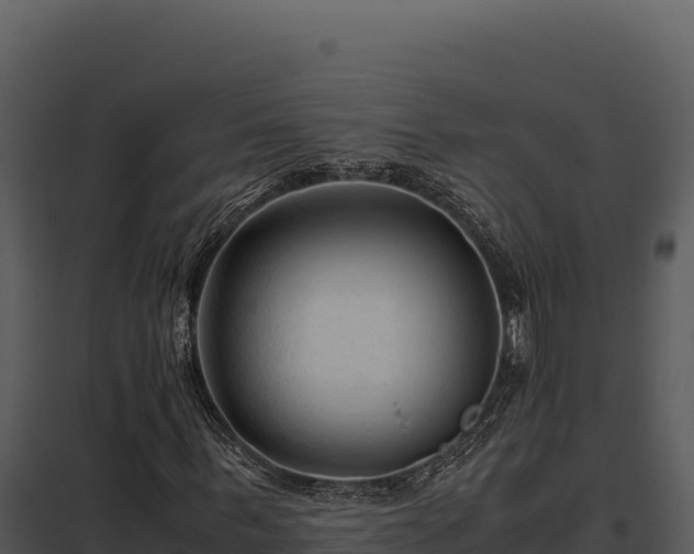 X0000097960963200804011654