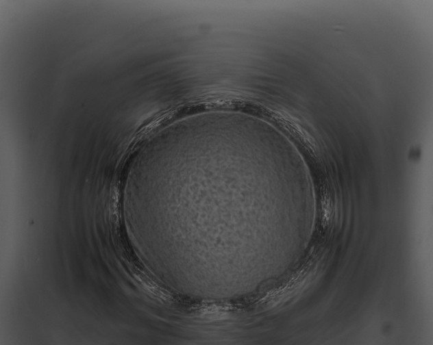X0000097960964200804011654